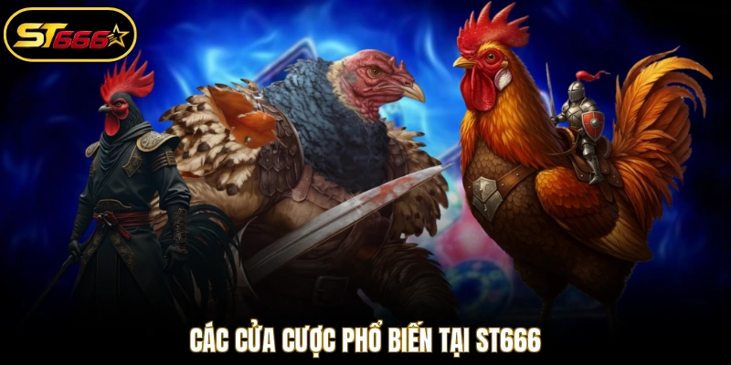 Các cửa cược phổ biến tại ST666