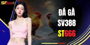 Đá Gà SV388