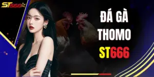 Đá Gà Thomo