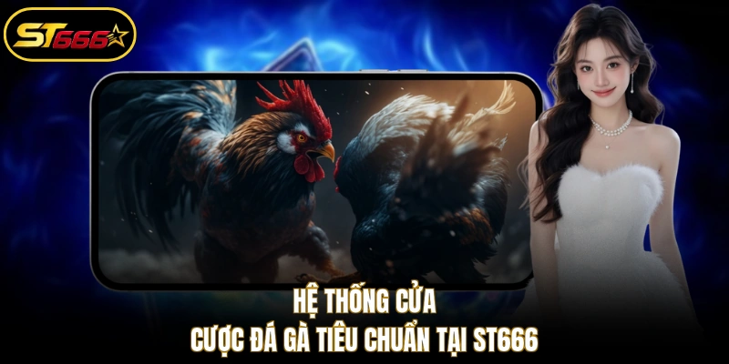 Hệ thống cửa cược đá gà tiêu chuẩn tại ST666