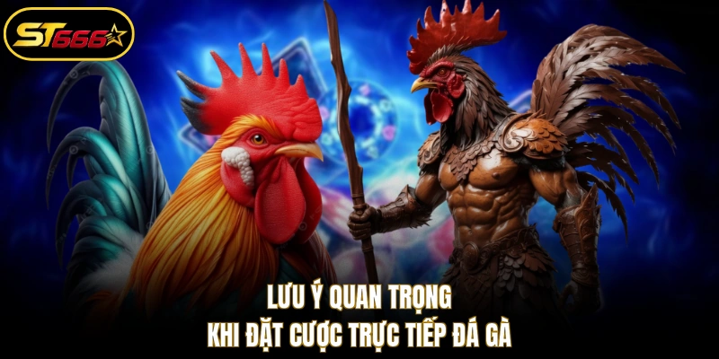 Lưu ý quan trọng khi đặt cược trực tiếp đá gà