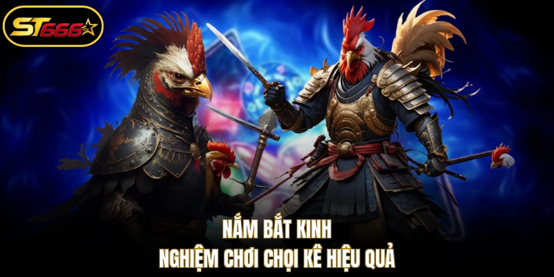 Nắm bắt kinh nghiệm chơi chọi kê hiệu quả