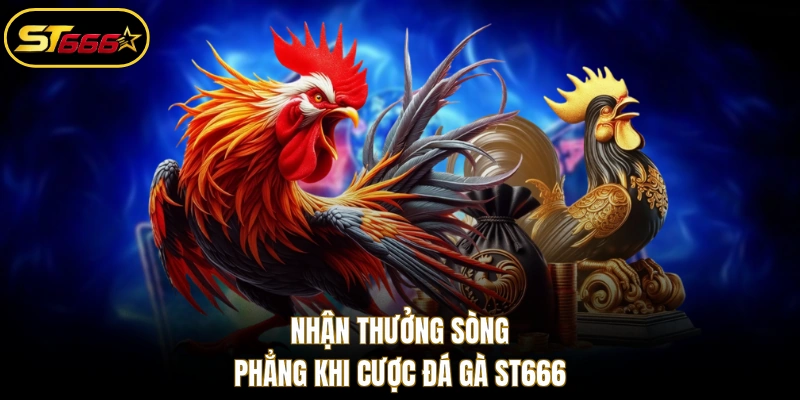 Nhận thưởng sòng phẳng khi cược đá gà ST666