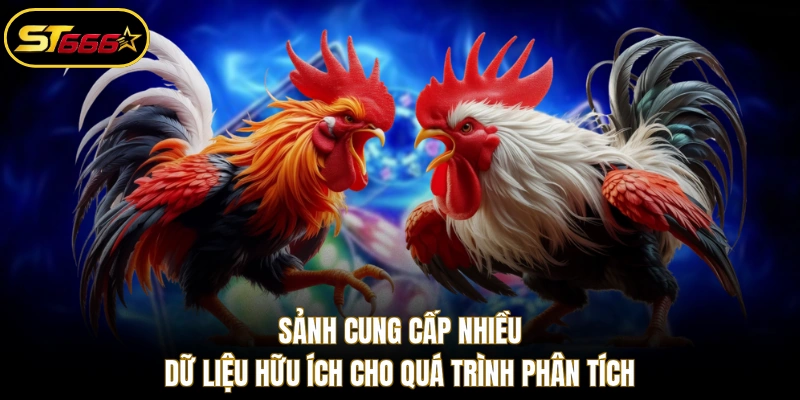 Sảnh cung cấp nhiều dữ liệu hữu ích cho quá trình phân tích